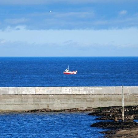 Villa Farne Lookout Seahouses Esterno foto